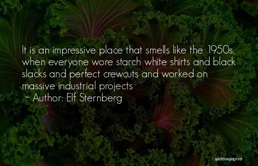 Sternberg Quotes By Elf Sternberg