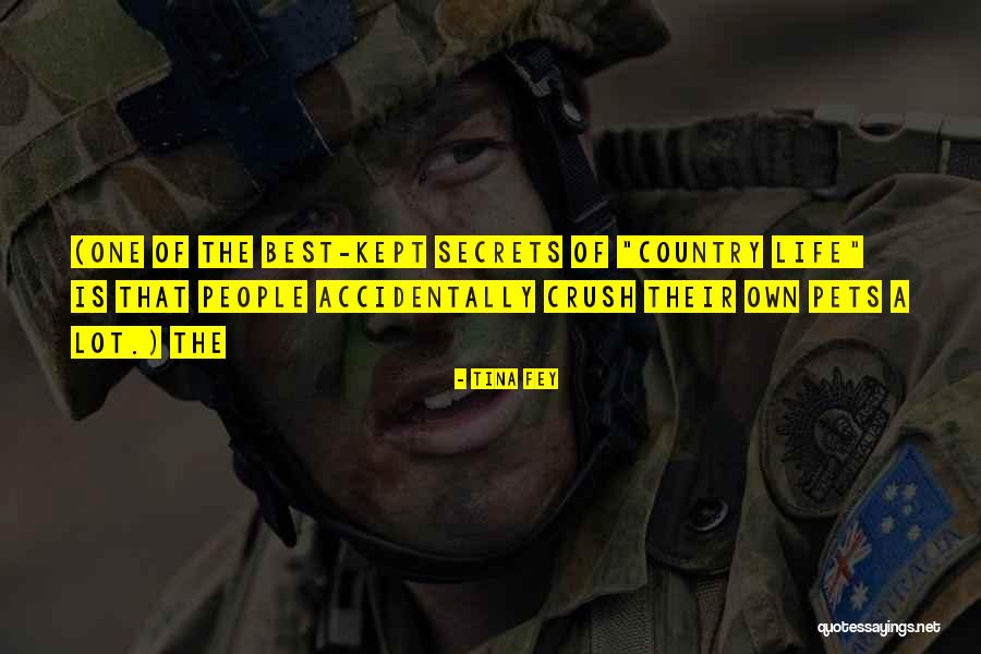 Sterne School Quotes By Tina Fey Sterne School Quotes By Tina Fey