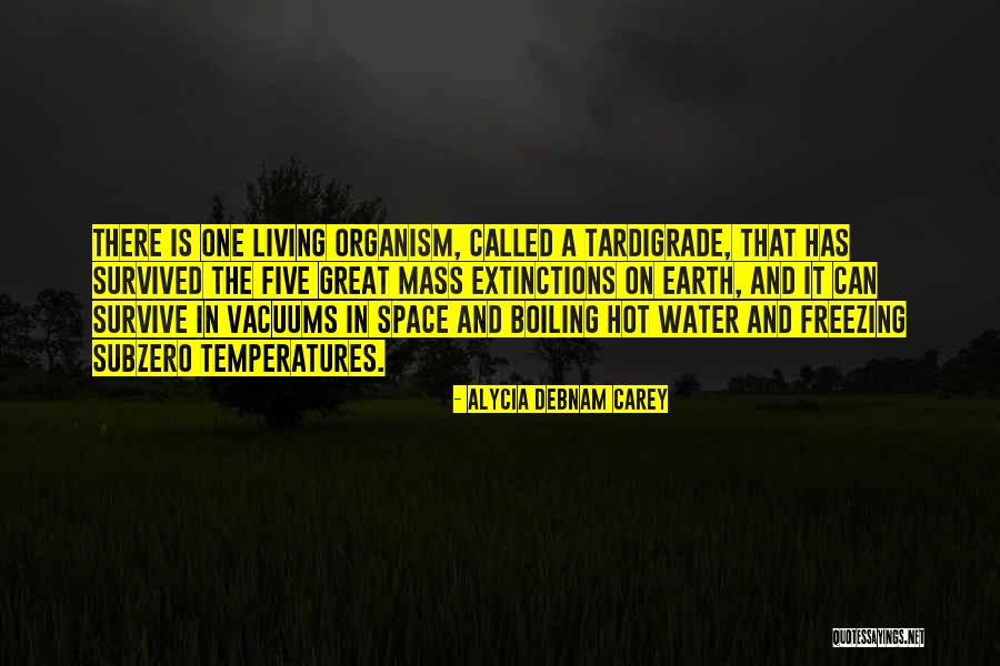 Sternen Post Quotes By Alycia Debnam Carey Sternen Post Quotes By Alycia Debnam Carey