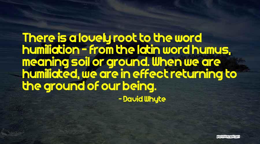 Sternite Quotes By David Whyte Sternite Quotes By David Whyte