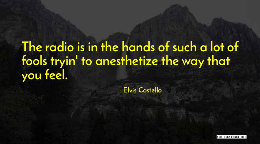 Sternite Quotes By Elvis Costello Sternite Quotes By Elvis Costello