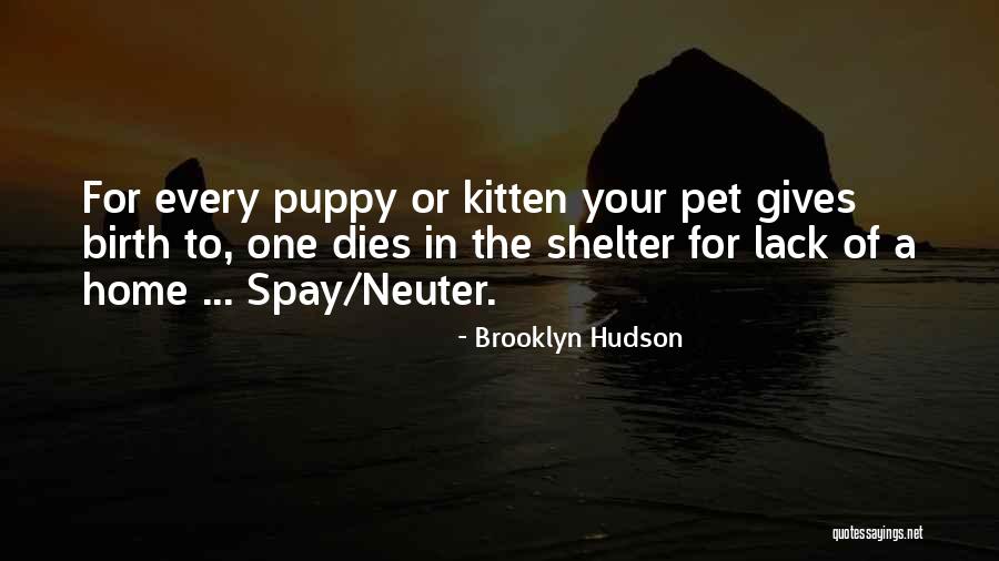 Steroids In Sports Quotes By Brooklyn Hudson Steroids In Sports Quotes By Brooklyn Hudson