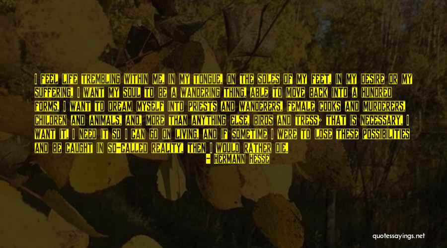 Stettner Power Quotes By Hermann Hesse Stettner Power Quotes By Hermann Hesse