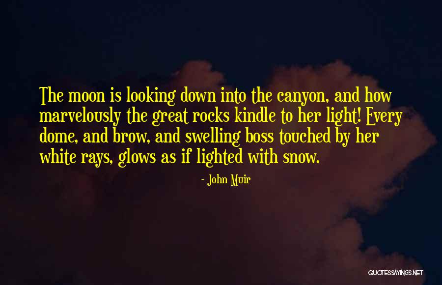 Steunen Vertaling Quotes By John Muir Steunen Vertaling Quotes By John Muir