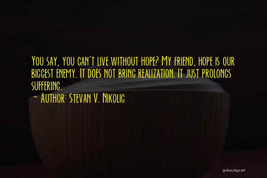 Stevan V. Nikolic Quotes 574903