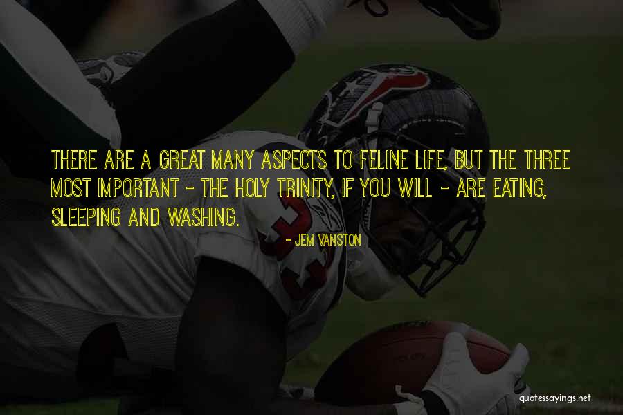 Stevasaurus Quotes By Jem Vanston Stevasaurus Quotes By Jem Vanston