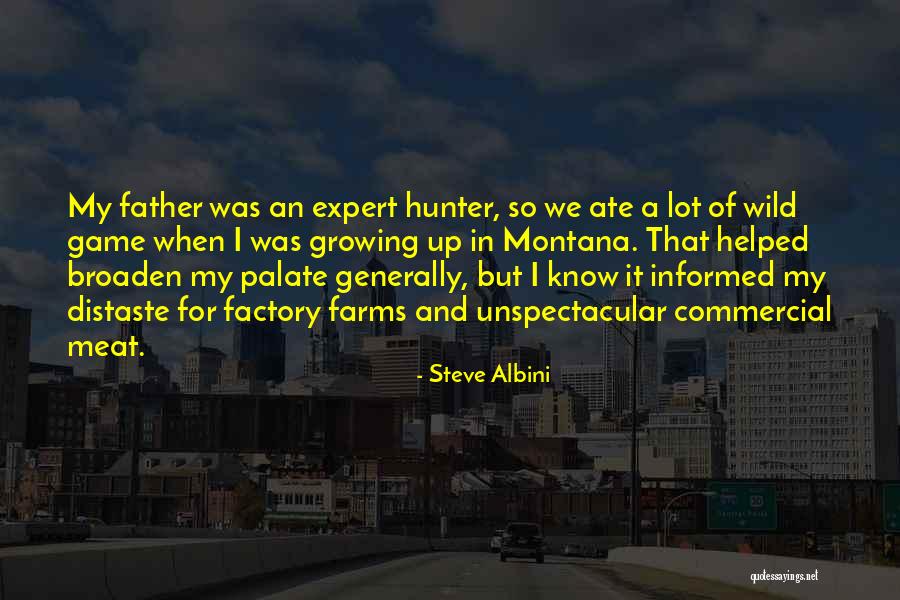 Steve Albini Quotes 1396837