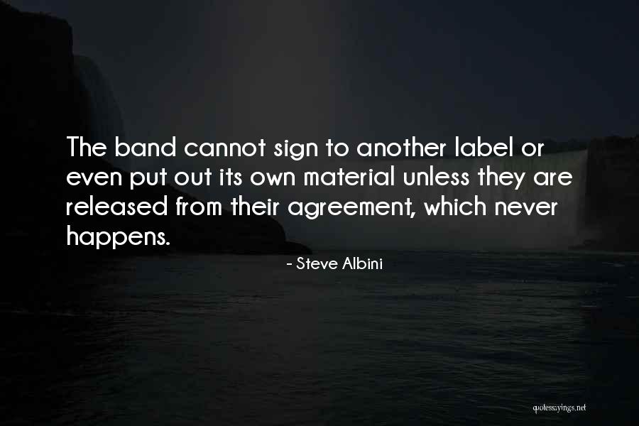 Steve Albini Quotes 1477284