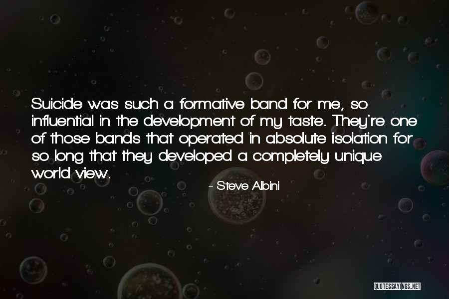 Steve Albini Quotes 1496472