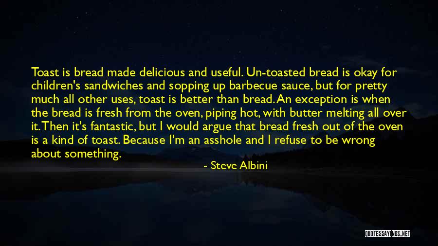 Steve Albini Quotes 1605595