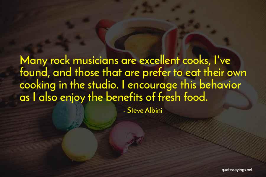 Steve Albini Quotes 1682549