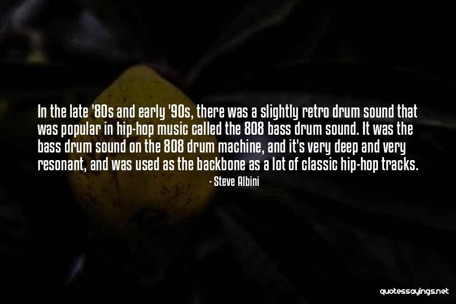 Steve Albini Quotes 188754