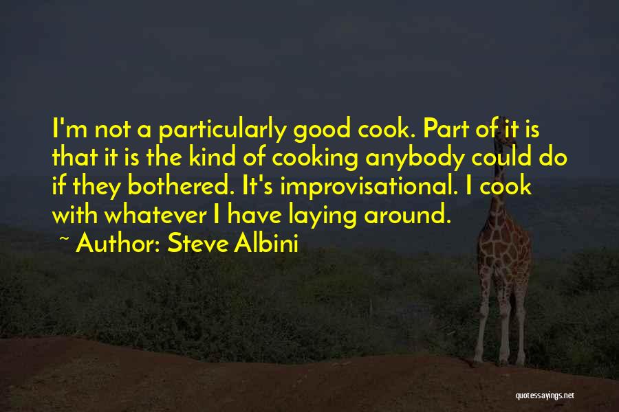 Steve Albini Quotes 2112417