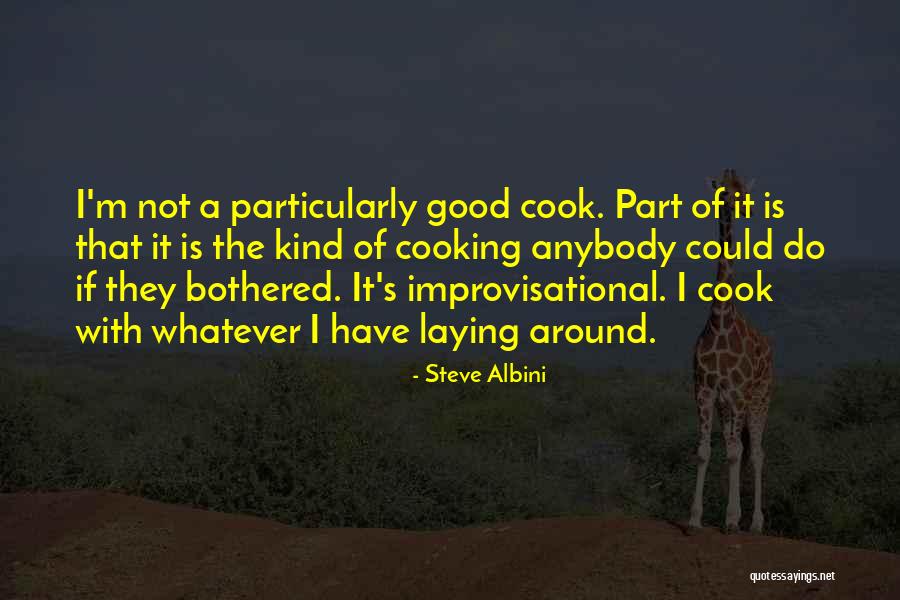 Steve Albini Quotes 2112417