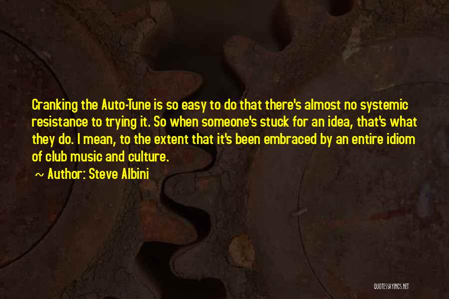 Steve Albini Quotes 223841
