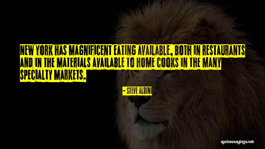 Steve Albini Quotes 273047