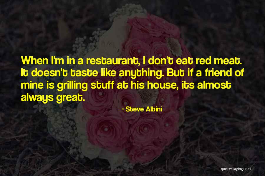 Steve Albini Quotes 658495