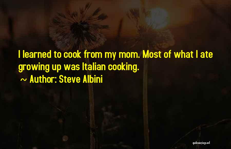 Steve Albini Quotes 877613