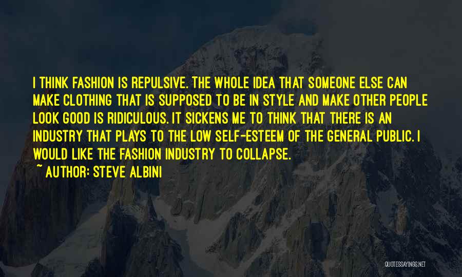 Steve Albini Quotes 946471