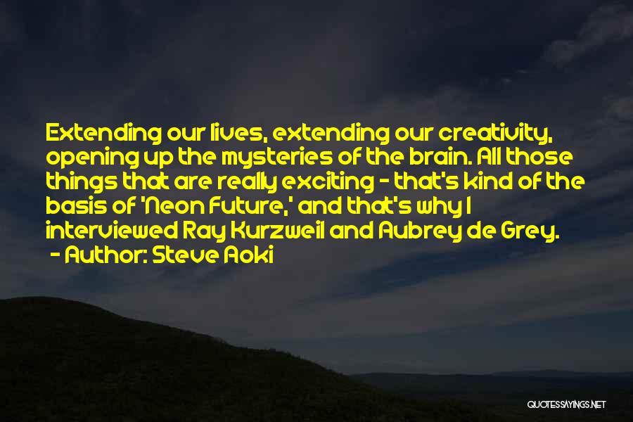 Steve Aoki Quotes 1513792