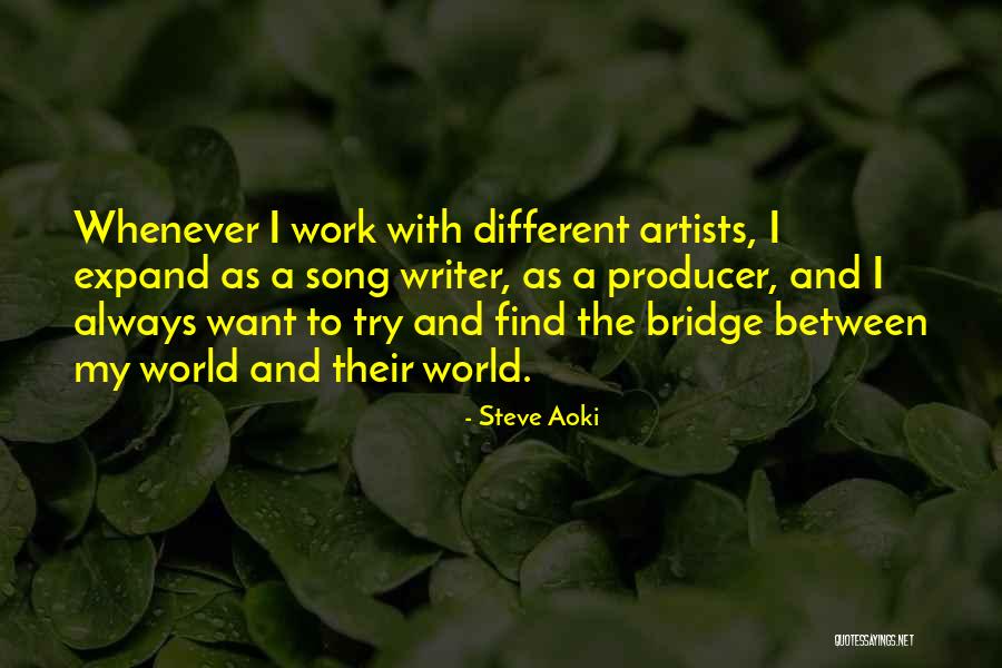 Steve Aoki Song Quotes By Steve Aoki