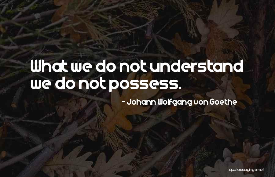 Steve Austin Bionic Man Quotes By Johann Wolfgang Von Goethe Steve Austin Bionic Man Quotes By Johann Wolfgang Von Goethe