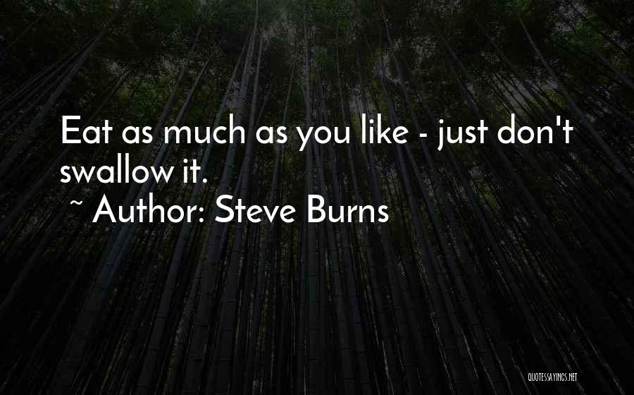 Steve Burns Quotes 2252662