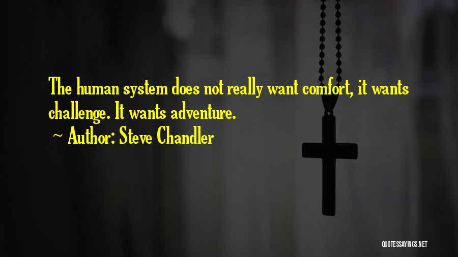 Steve Chandler Quotes 1333299