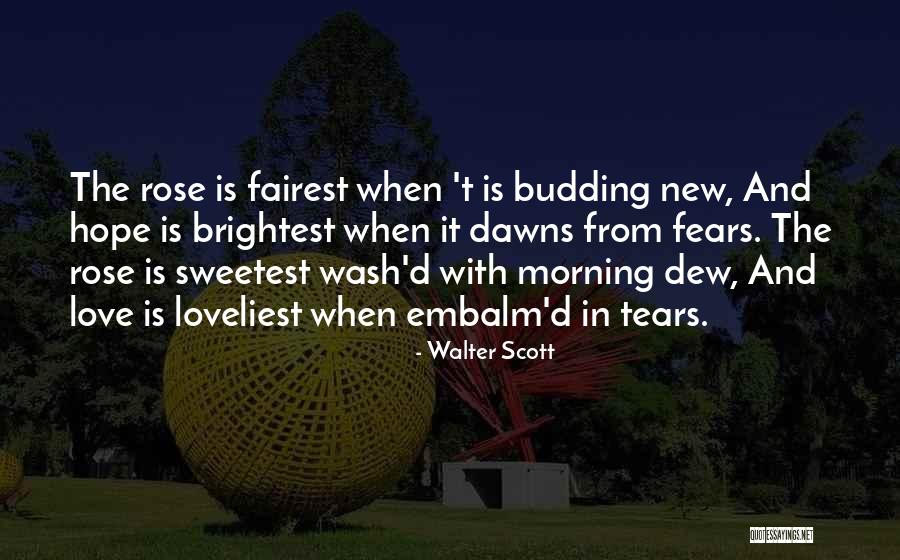 Steve Cuss Quotes By Walter Scott Steve Cuss Quotes By Walter Scott