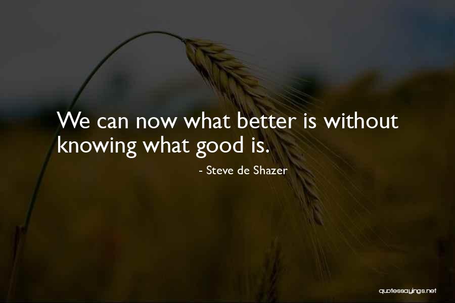 Steve De Shazer Quotes 1125738 Steve De Shazer Quotes 1125738