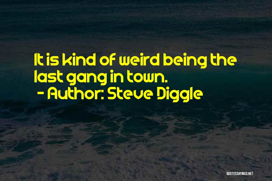 Steve Diggle Quotes 1498504