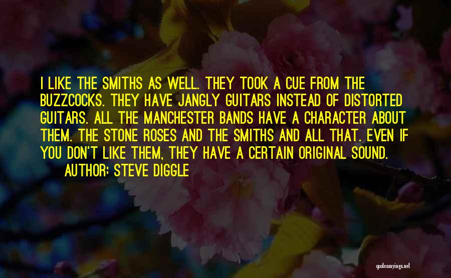 Steve Diggle Quotes 394044