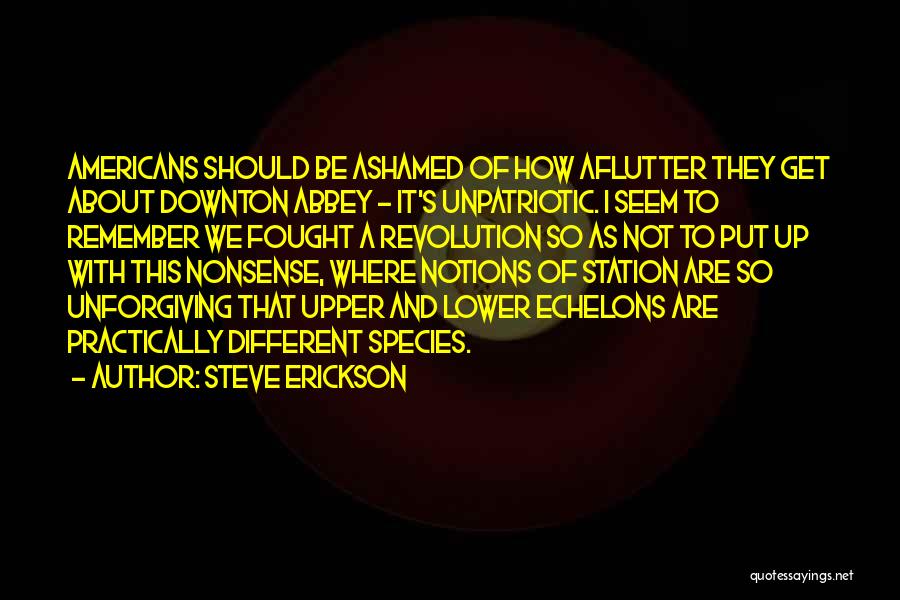 Steve Erickson Quotes 1129287