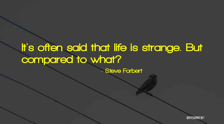 Steve Forbert Quotes 1503268