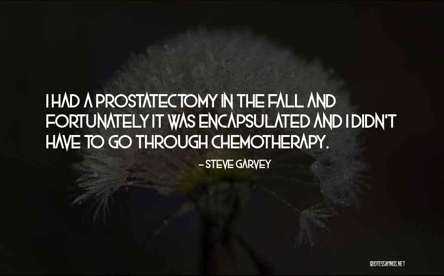 Steve Garvey Quotes 1094947 Steve Garvey Quotes 1094947