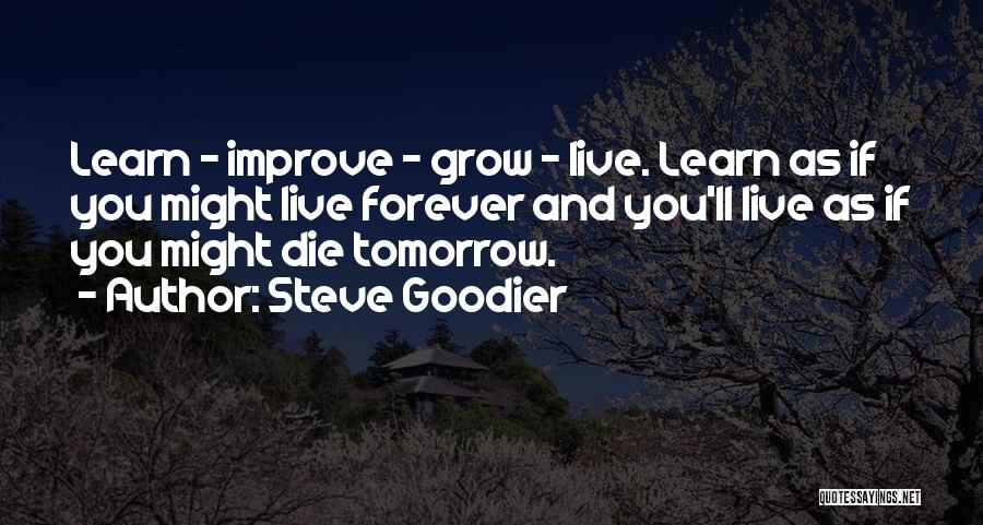 Steve Goodier Quotes 1339800