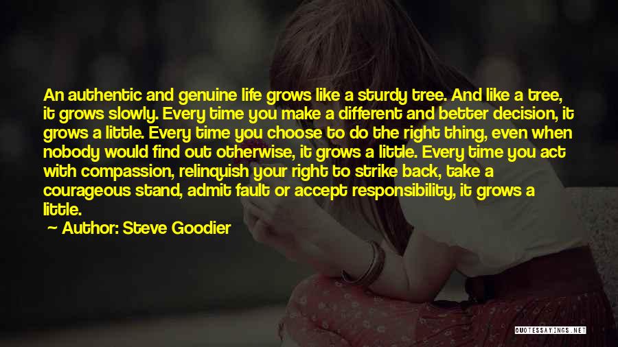 Steve Goodier Quotes 1866681