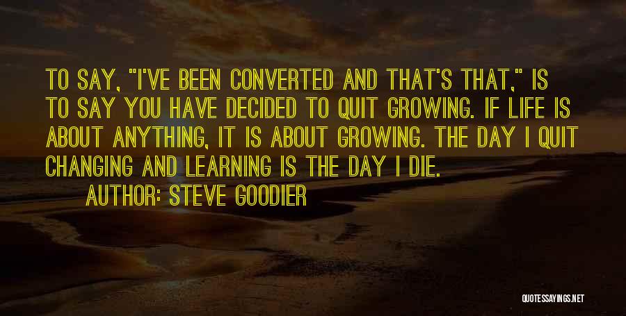 Steve Goodier Quotes 310743