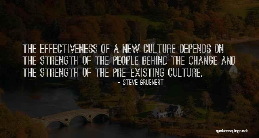 Steve Gruenert Quotes 398384