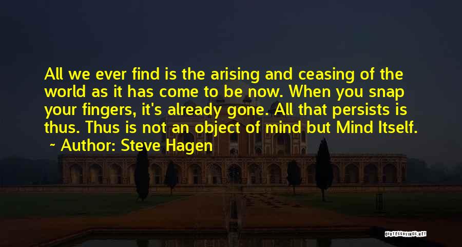 Steve Hagen Quotes 1750417
