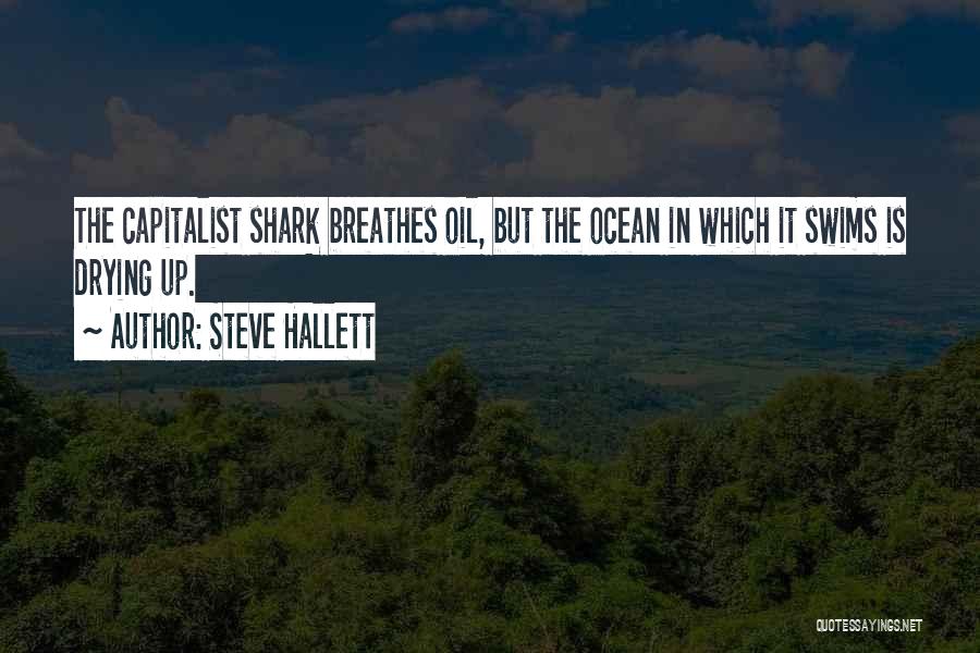 Steve Hallett Quotes 1614175