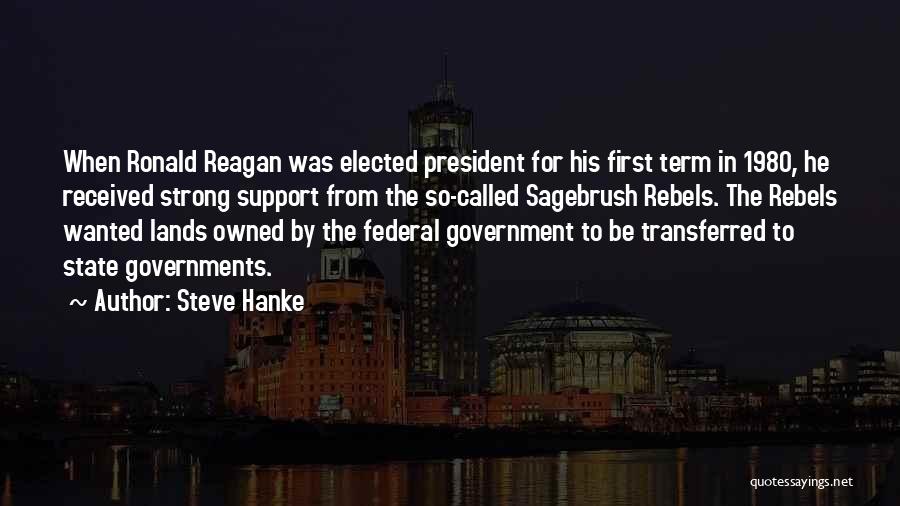 Steve Hanke Quotes 1106924