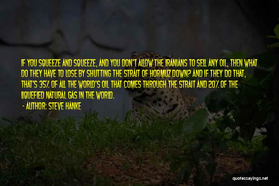 Steve Hanke Quotes 584915