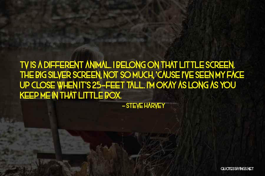 Steve Harvey Quotes 2175925 Steve Harvey Quotes 2175925