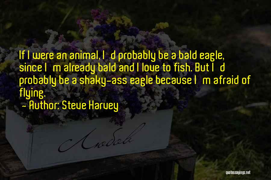 Steve Harvey Quotes 585331