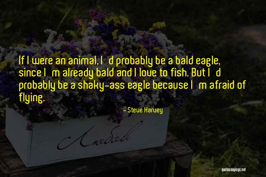 Steve Harvey Quotes 585331 Steve Harvey Quotes 585331