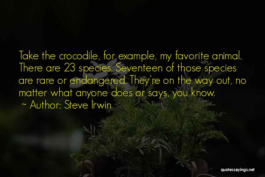 Steve Irwin Quotes 1651216