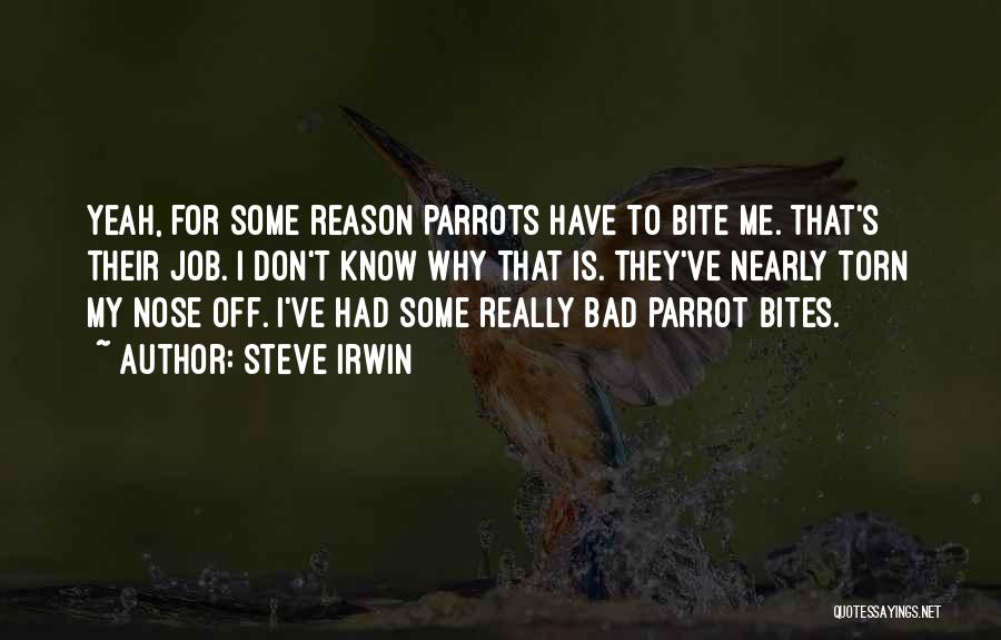 Steve Irwin Quotes 2019047