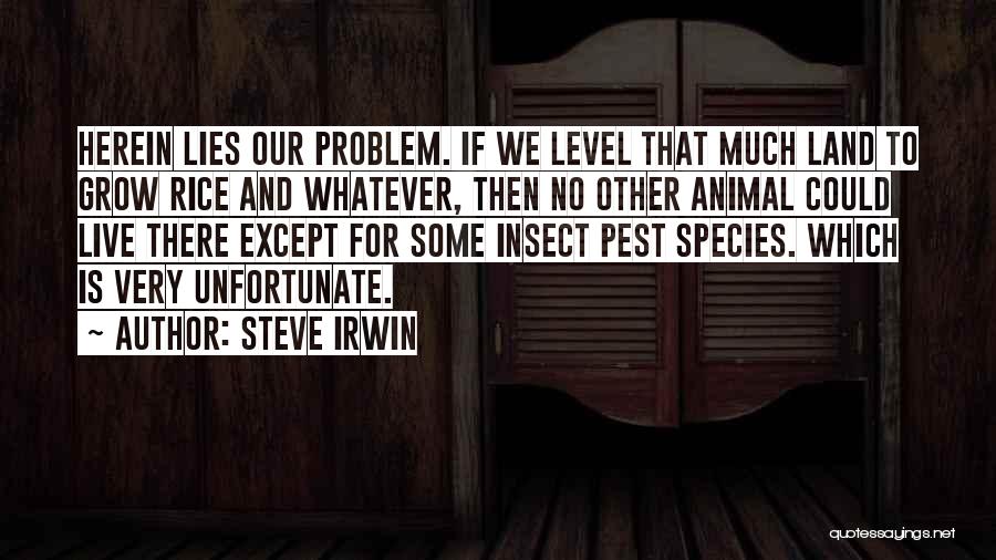 Steve Irwin Quotes 2253051