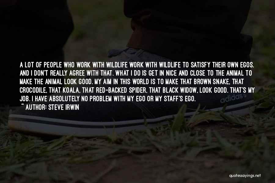 Steve Irwin Quotes 264707